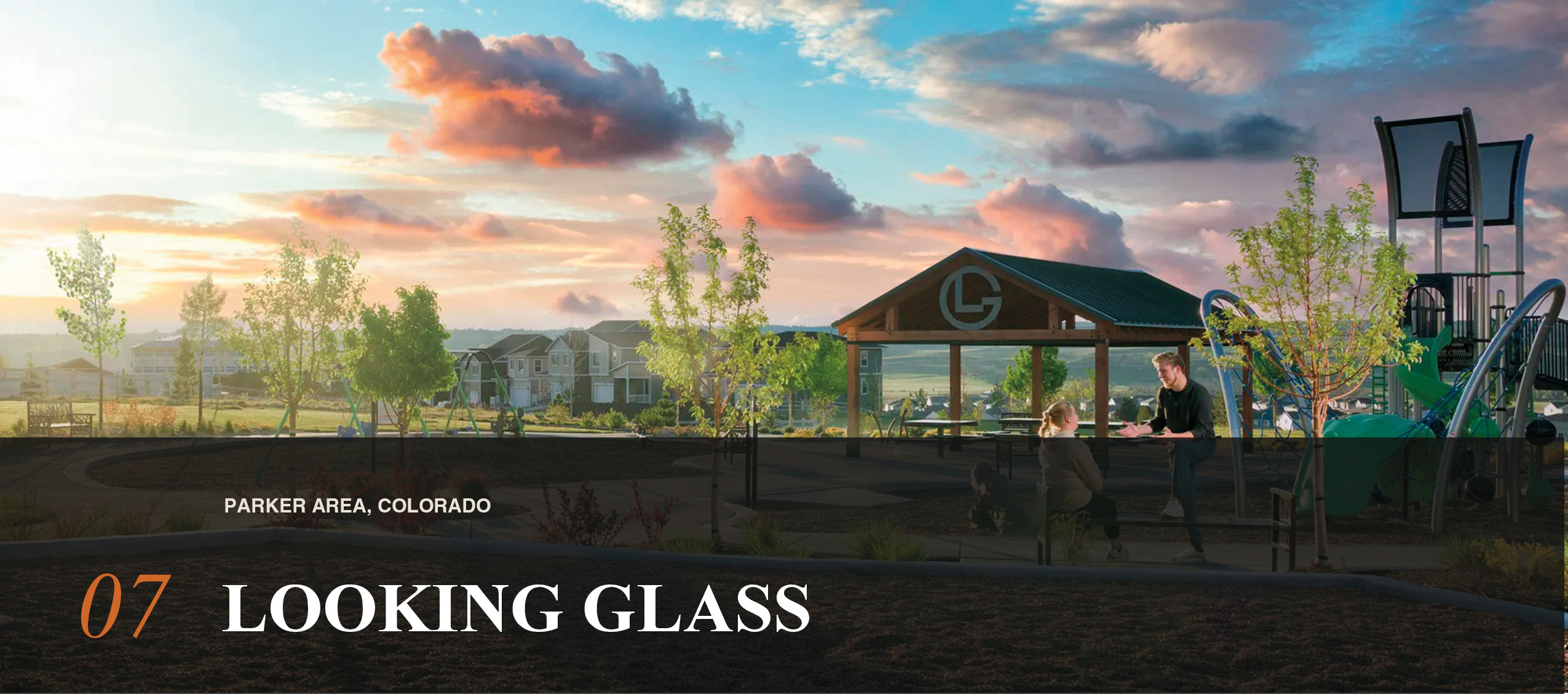 Looking Glass community profile